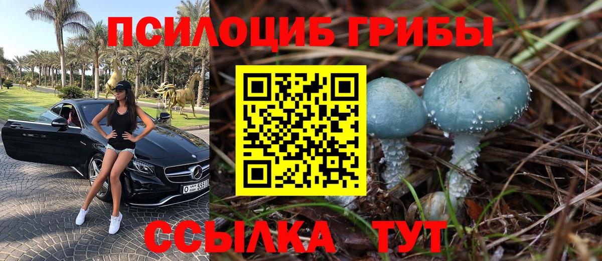 Железногорск  наркотики  Галлюциногенные грибы прущие грибы  Вход с VPN  Галлюциногенные грибы MAGIC MUSHROOMS 