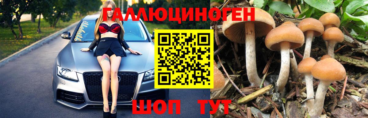 Псилоцибиновые грибы Cubensis Железногорск